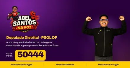 Capa de link